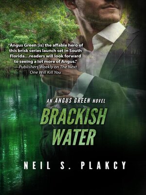 cover image of Brackish Water